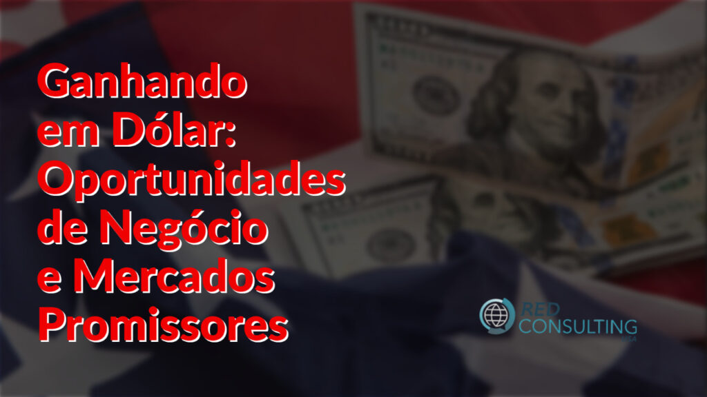 Ganhando em Dólar: Oportunidades de Negócio e Mercados Promissores com a Red Consulting 1
